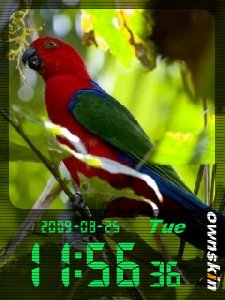 Parrot clock