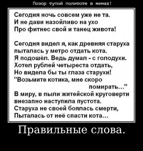 Старуха и кот