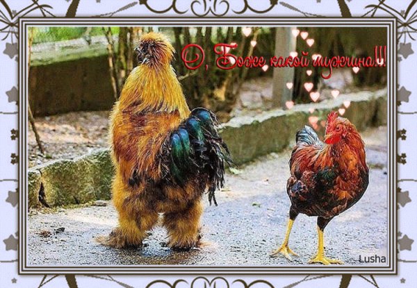 0 10d22b 59ac502b orig