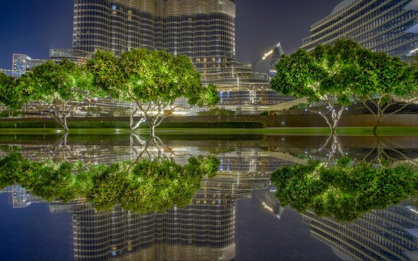 dubai-oae-derevia-bassein-doma-otrazhenie
