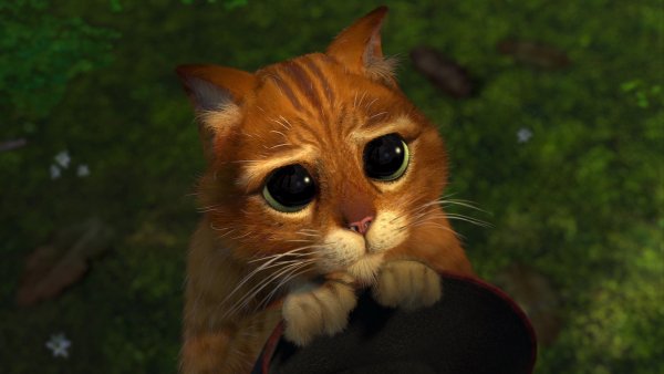 Shrek2-disneyscreencaps.com-4359
