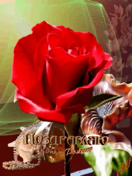 С днём рождения!Красная роза,бусы