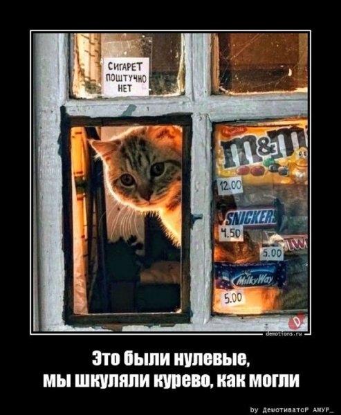 Это были нулевые...