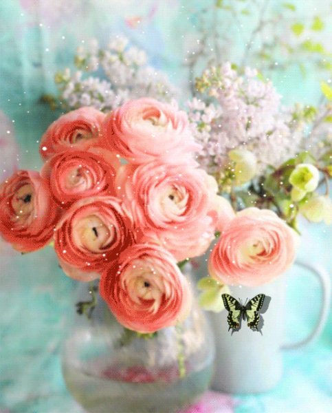 file_91216800