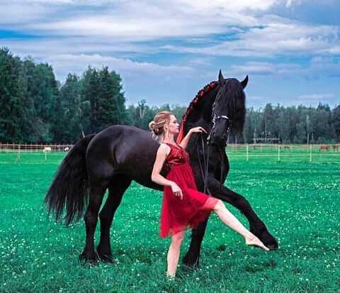 FB IMG 16312199055102673