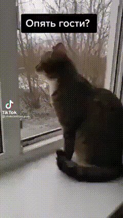 Звонок в дверь: