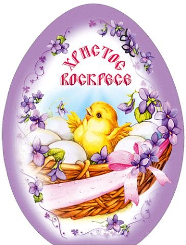 getImageCACEZW03