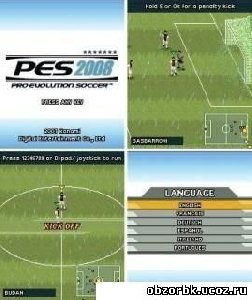 PES 2008 352x416 N80