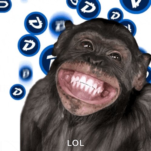 LOL