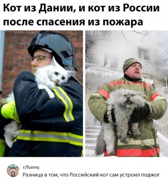 file_74928891