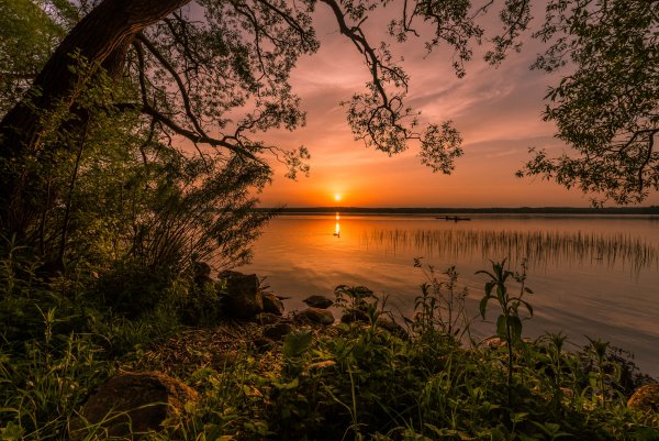 Ozero-priroda-bereg-derevia-nebo-peizazh-zakat1