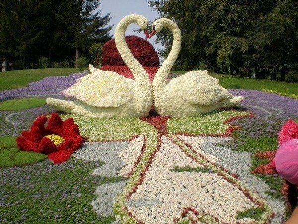 getImageц