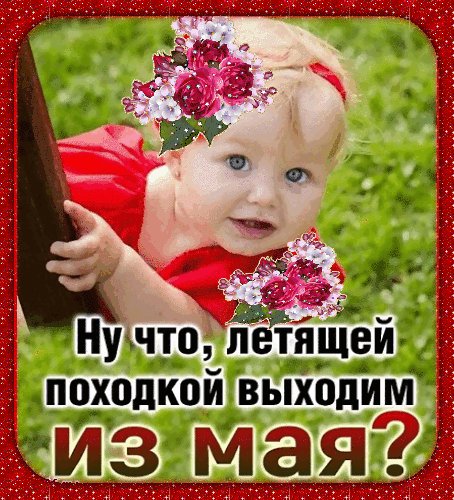 Анимированная открытка ну что летящей