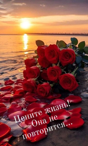 IMG-ad21680d76045e70eefdafdb911c7682-V