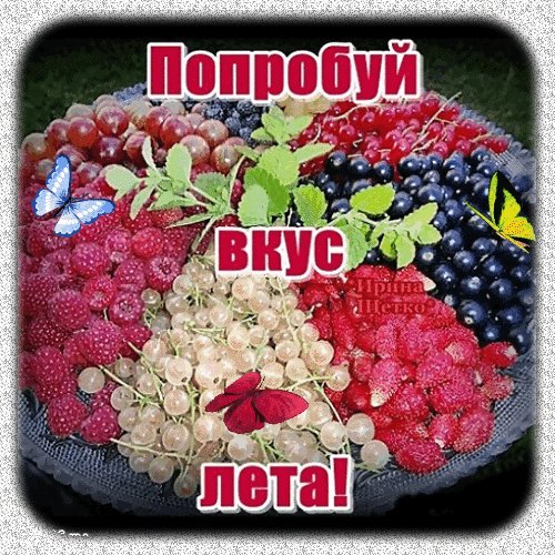 Анимированная открытка попробуй вкус