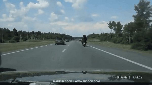 Медведище!))