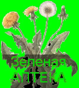 Зеленая аптека