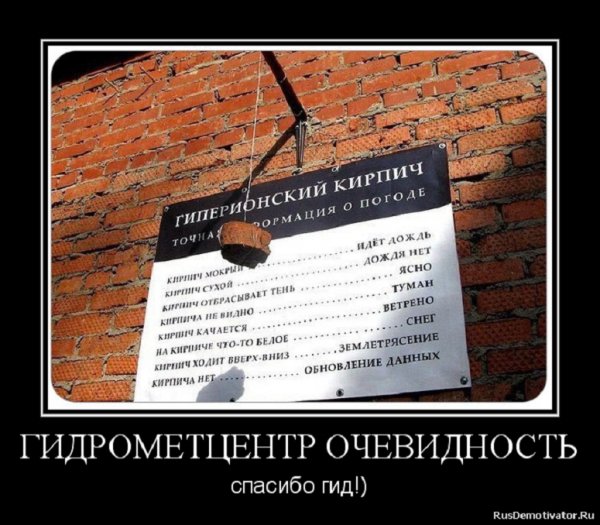 Точная информация о природе