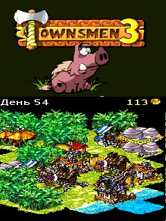 Townsmen3Hack
