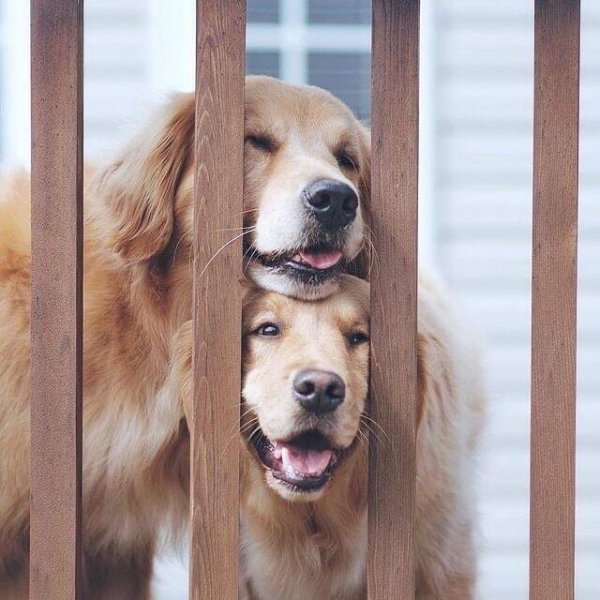 KMNVXZXVBNMNBCXX8U44A