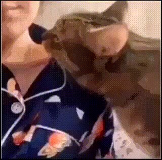 Хочешь обнять, обними!