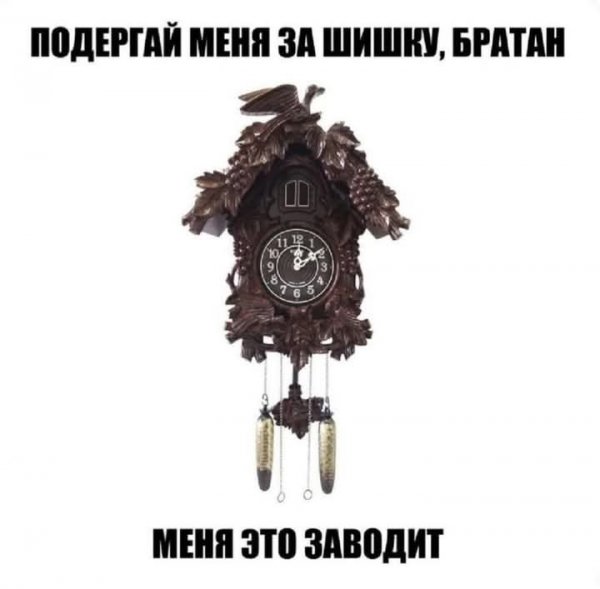 FB IMG 1743619482519
