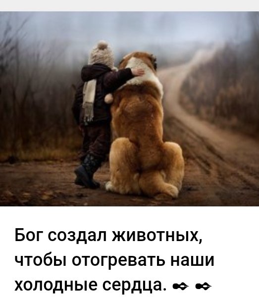 Друзья наши меньшие