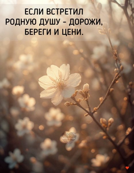 CSQGvYVtPUM