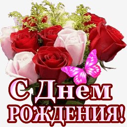 getImage(247)