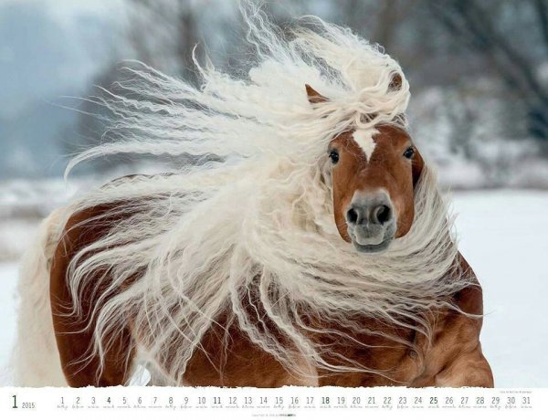 IMG 20150923 201209 116