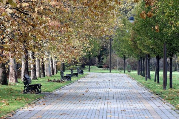 В осеннем парке