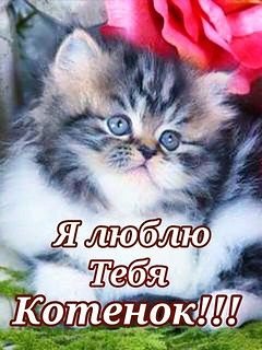 getImage001