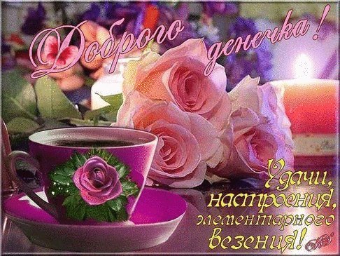 IMG 20190121 271473