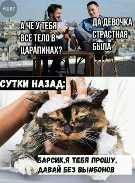 FB IMG 1776810891828