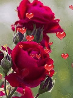 love8