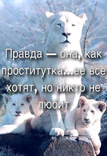 FB IMG 16375336864384839