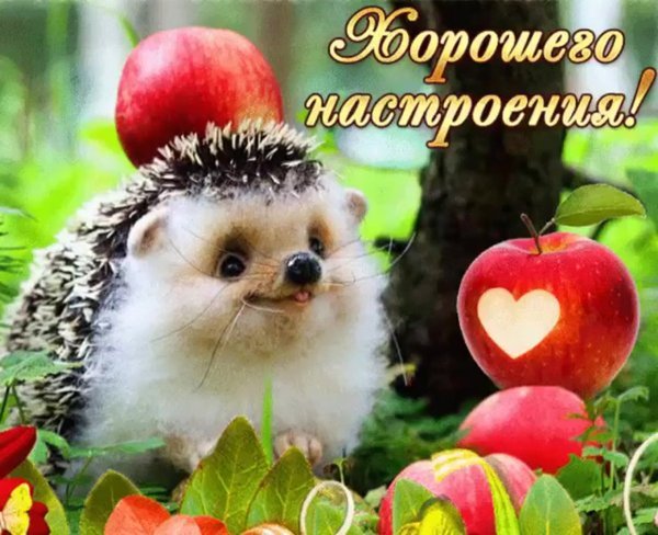 IMG-20231221-WA0016