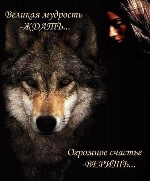 IMG 20171101 083229 1