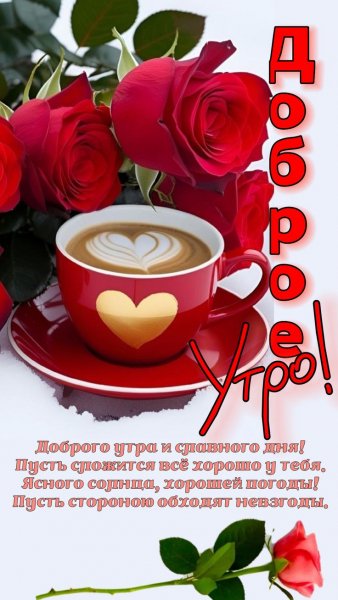 6d71eea861a12e0ee0001705d78013f1