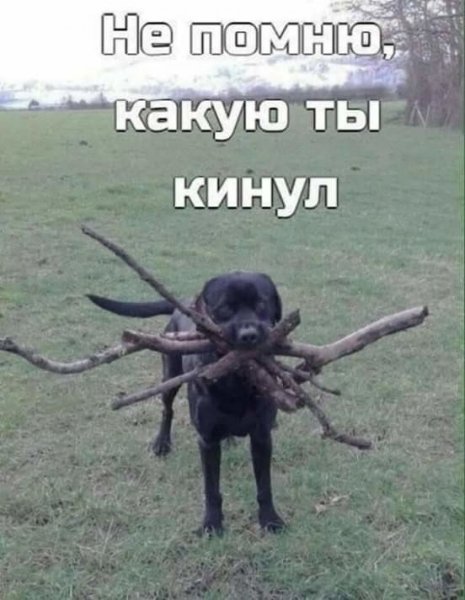 file_101165473