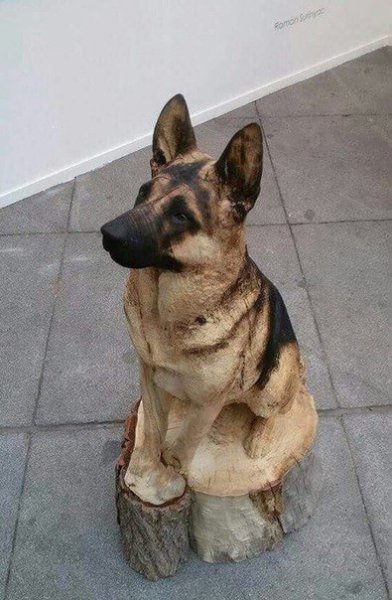 из дерева...