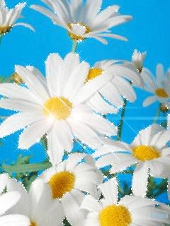 file_61969628
