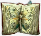 Kniga babochka-
