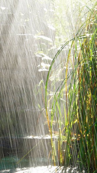 Heavy Rain4