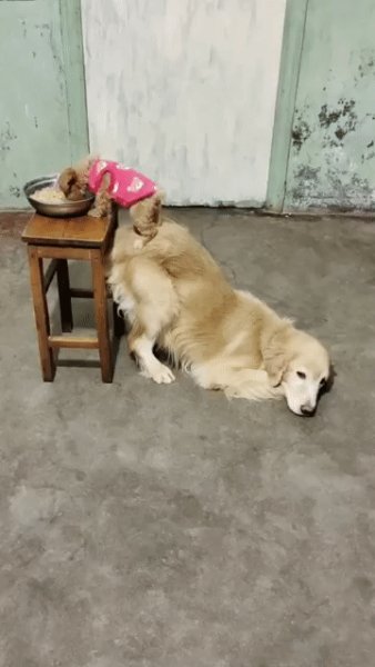 Помощь маленьким