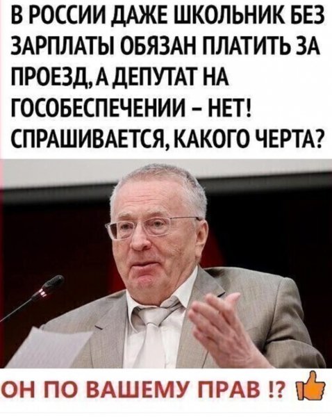 Владимир Жириновский