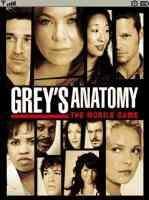 Greys Anatomy