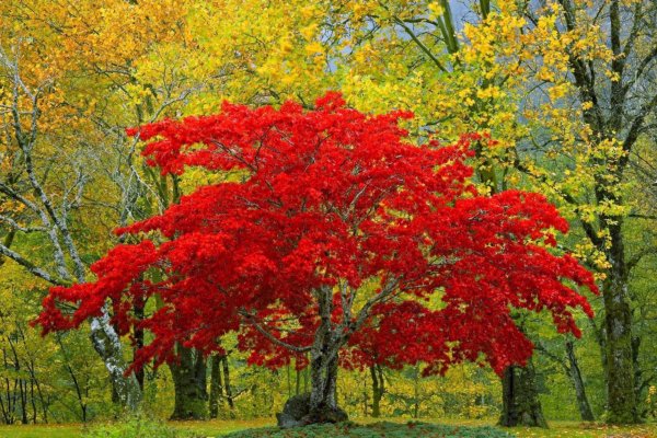 IMG 20220823 viter59