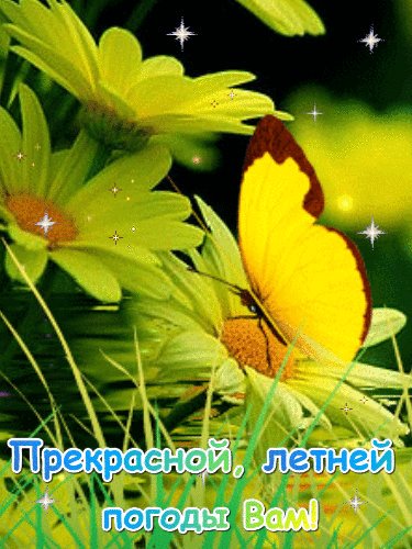 file_74236955