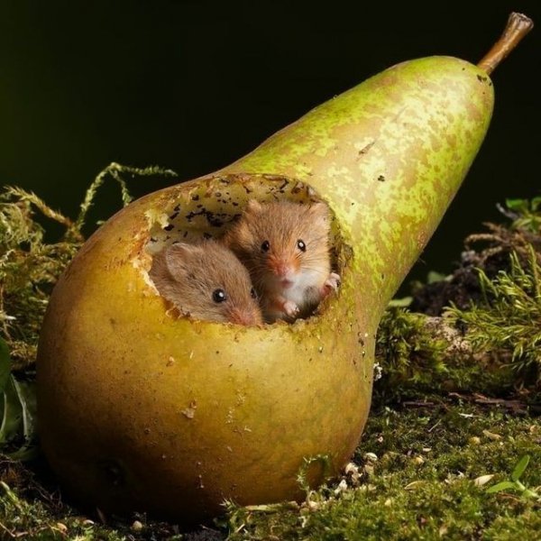 C758e74aaf6698982646f85abfe5ba83